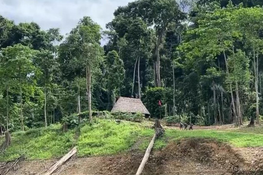 Dự án có rừng, chuyển mục đích trước hay thu hồi trước?