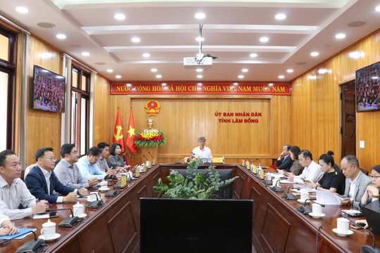 Lâm Đồng dự Phiên toàn thể ngoại giao kinh tế phục vụ phát triển đất nước
