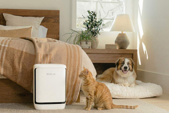 Máy lọc không khí Levoit Vital Pet Pro có gì đặc biệt để giải quyết triệt để lông và mùi thú cưng?