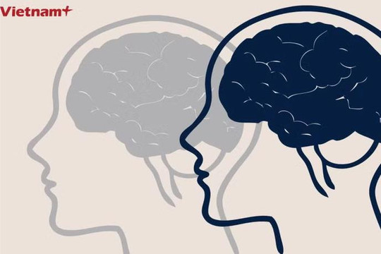 Phát triển mô hình AI giải mã “ngôn ngữ của não bộ”