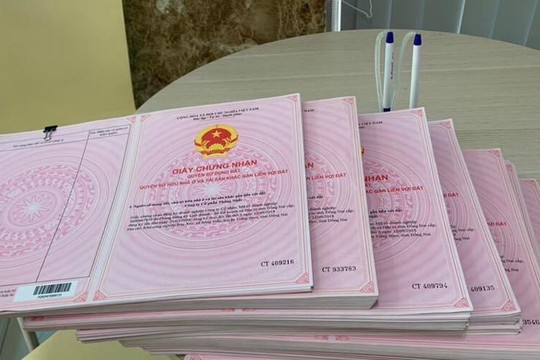 Đất nhận chuyển nhượng lâu năm, mất giấy tờ gốc: Làm sao để cấp sổ?