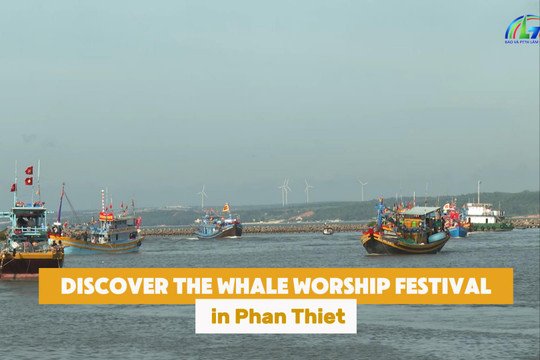 Discover the Whale Worship Festival in Phan Thiet