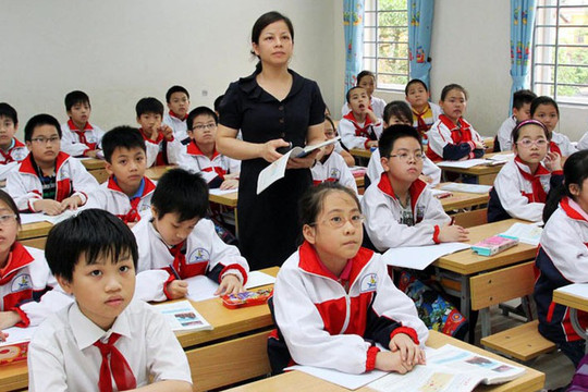 Nhân viên thư viện chuyển làm giáo viên tiểu học, điều kiện thế nào?