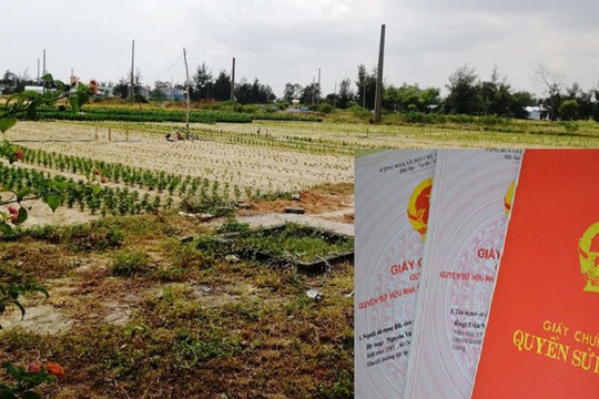Đất có thông báo thu hồi có được cấp đổi Giấy chứng nhận?