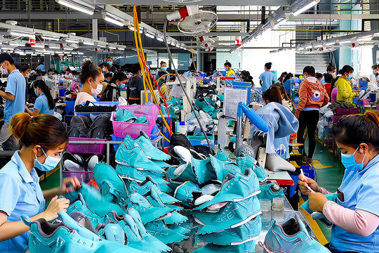 Lâm Đồng tăng tốc xuất khẩu, quyết tâm cán đích 3,59 tỷ USD