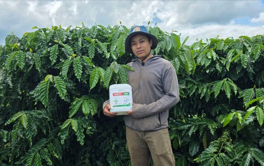 Phân bón hữu cơ lỏng NPK Ultra: Lời giải cho xu hướng chuyển đổi nông nghiệp bền vững tại Lâm Đồng