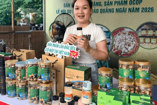 Hướng dẫn thủ tục đánh giá, phân hạng sản phẩm OCOP