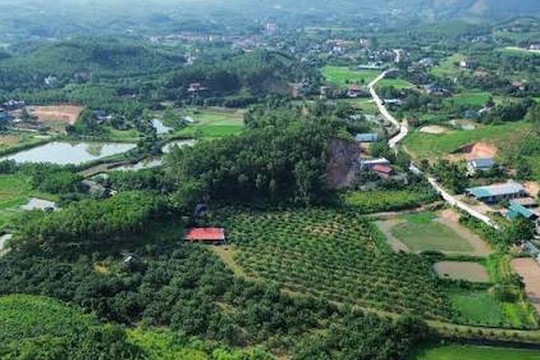 Thủ tục chuyển mục đích đất rừng sản xuất để làm nhà máy
