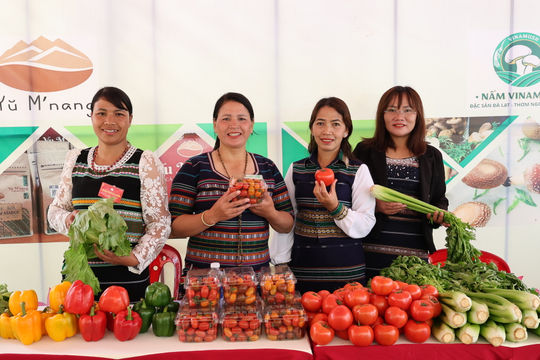 Phát huy vai trò cán bộ nữ ở cơ sở