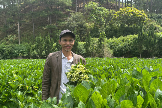 Ha Kim và mong ước cộng đồng trồng hoa