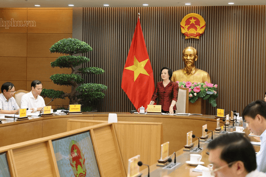 Thúc đẩy hệ sinh thái 'kinh tế bạc', bảo vệ người cao tuổi trên không gian mạng