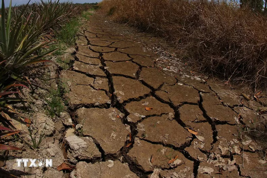 Bộ Nông nghiệp và Môi trường yêu cầu chủ động ứng phó El Nino 2026-2027