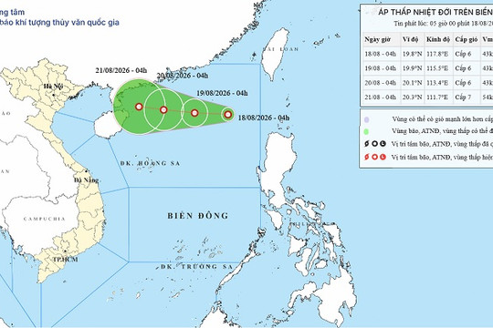 Áp thấp nhiệt đới trên Biển Đông ngày 18/8/2026: Gió giật cấp 8, sóng cao tới 3,5m