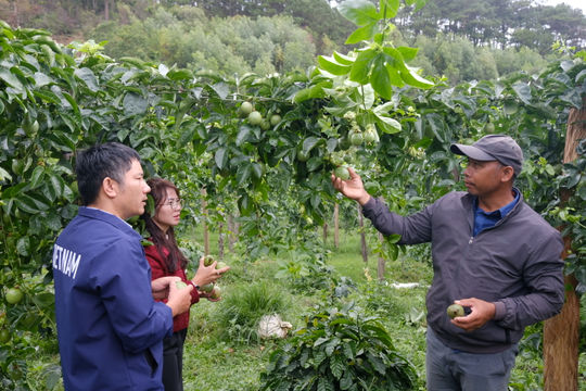 Chuyển đổi cây trồng, nâng hiệu quả sản xuất
