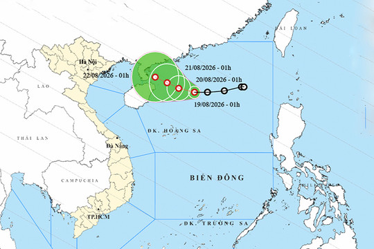 Thời tiết ngày 19/8: Bắc Bộ và Bắc Trung Bộ mưa lớn, áp thấp nhiệt đới gây sóng cao, biển động
