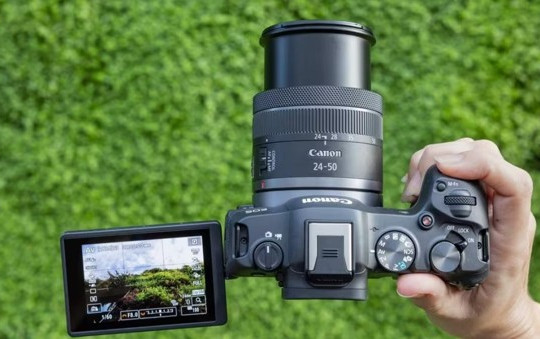 Canon EOS R8 và loạt máy ảnh Canon 2026: Đâu là lựa chọn đáng xuống tiền?