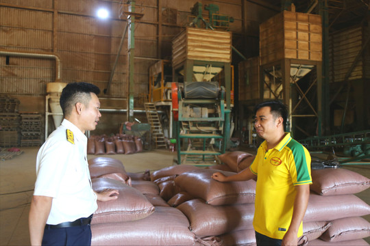 Nâng ngưỡng thuế 10 tỷ đồng, mở dư địa cho hộ kinh doanh Lâm Đồng