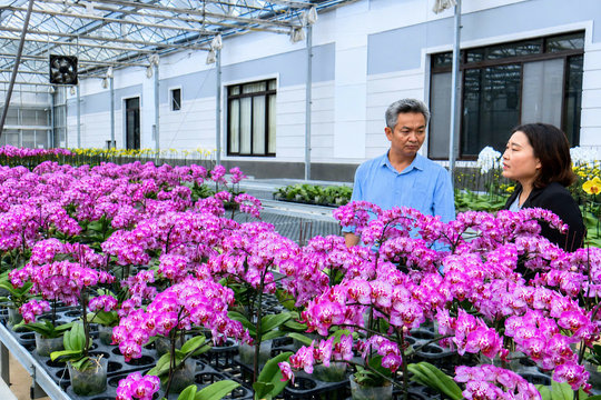 Hiệp Thạnh bứt phá từ nông nghiệp công nghệ cao