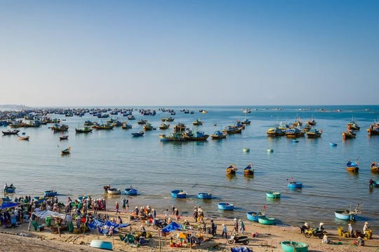 Mãi thoảng nồng hương biển