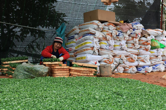 Gỡ nút thắt hạ tầng, nối dài chuỗi giá trị nông sản