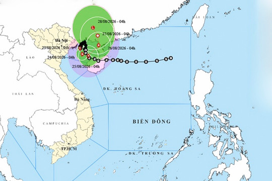 Thời tiết ngày 23/8: Bão số 4 di chuyển chậm trên vùng biển Quảng Ninh - Hải Phòng