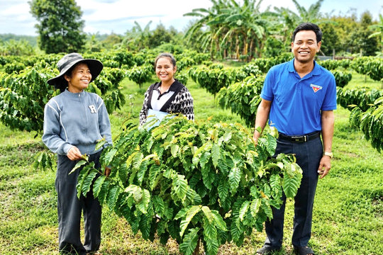 Thanh niên mạnh dạn khởi nghiệp bằng những mô hình mới