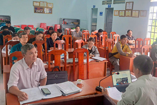 Phát huy vai trò “cây cao bóng cả”