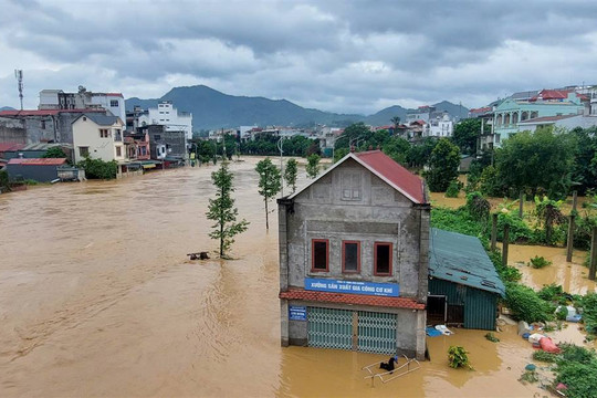 Tin lũ khẩn cấp hạ lưu sông Lục Nam, sông Thương và sông Cầu ngày 24/08/2026: Đạt trên BĐ3