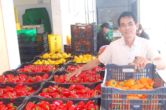 Liên kết để nâng tầm vùng nguyên liệu