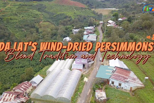 Da Lat’s Wind-Dried Persimmons Blend Tradition and Technology