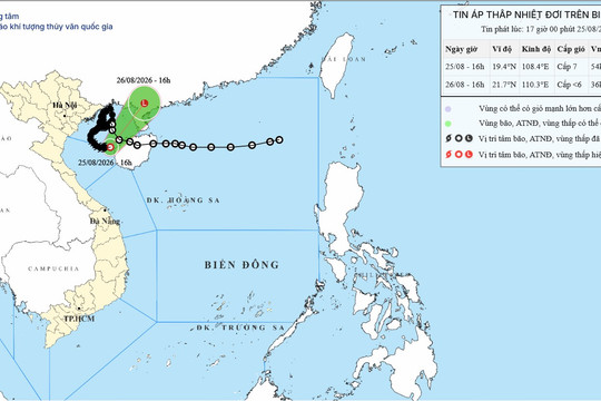 Áp thấp nhiệt đới suy yếu từ bão số 4 ngày 26/08/2026: Vịnh Bắc Bộ đối mặt gió giật cấp 9