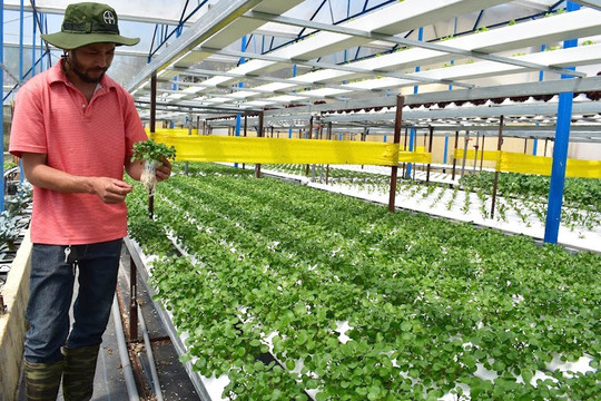 Strengthening agricultural production zones through linkages