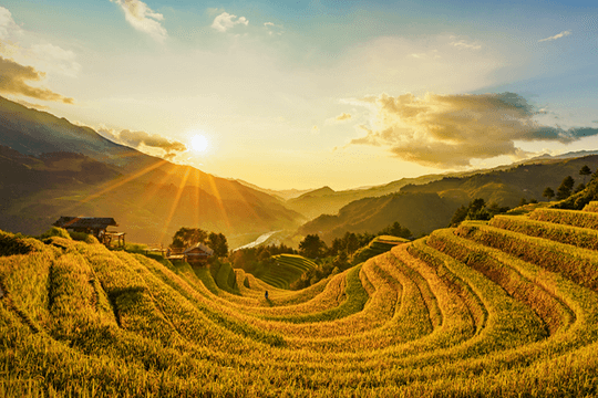 Nắng buổi thu về