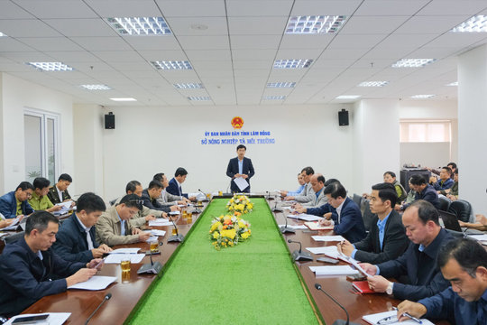 Lâm Đồng tăng cường giữ rừng, xử lý các “điểm nóng”