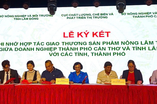 Lam Dong promotes market linkages for agricultural, forestry and fishery products