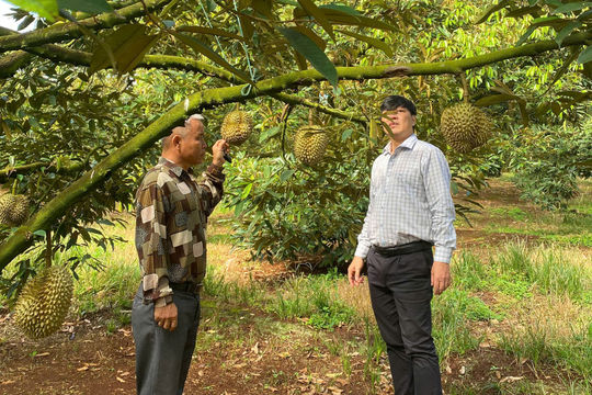 Lam Dong clears two major bottlenecks in agricultural exports