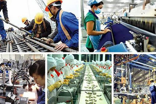 Triển khai thực hiện Kết luận số 62-KL/TW về nâng cao năng suất lao động quốc gia gắn với phát triển thị trường lao động