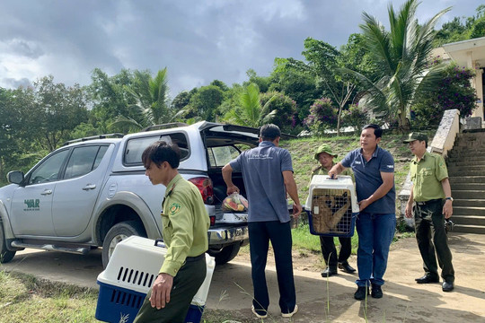 Ngăn chặn mua bán động vật hoang dã