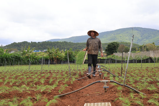Hạ tầng vùng chuyên canh: Từ cứng hóa đến hiện đại hóa