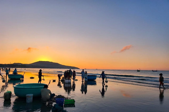 A Day at a Coastal Fishing Village