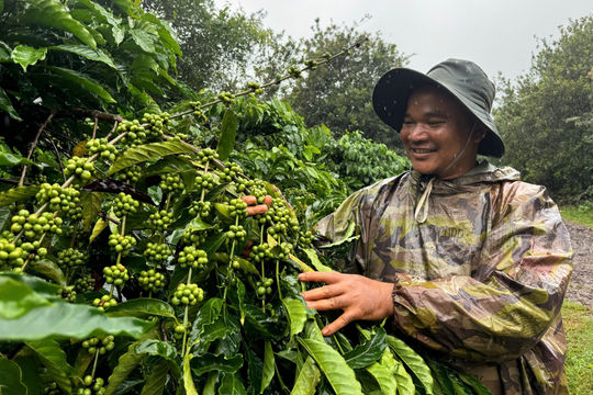 Khi người trẻ đổi cách làm trên đất quê hương
