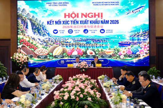 Lam Dong Steps Up Trade Promotion to Boost Exports to China