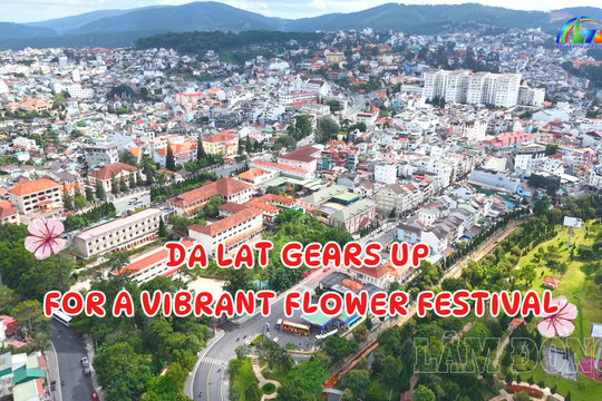 Da Lat Gears Up For A Vibrant Flower Festival