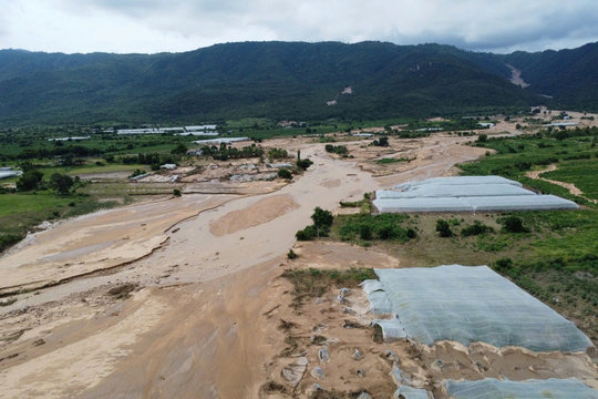 Tuy Phong triển khai hỗ trợ tín dụng người dân bị thiệt hại do lũ quét