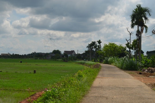 Tạo đà phát triển từ giao thông nông thôn