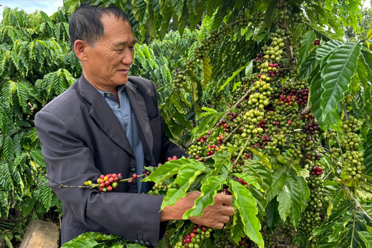 Thành Công trên vùng đất sình