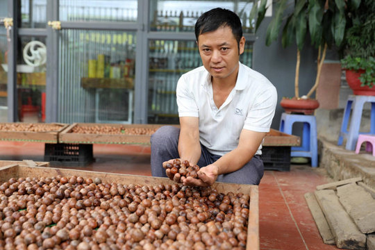 Mắc ca mở hướng vùng xa