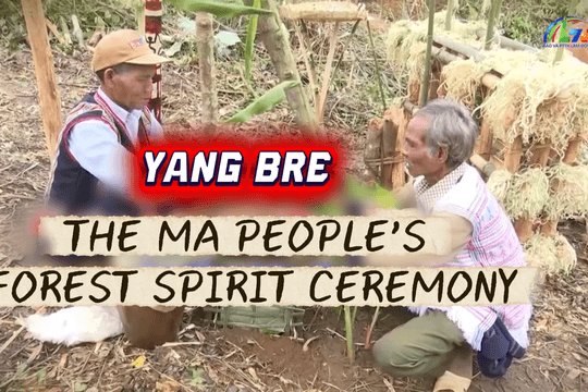 Yang Bre - The Ma people’s forest spirit ceremony