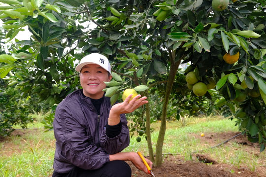 Bài 1: Nghe nông sản “kể” chuyện