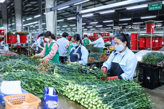 Bài 3: Hướng đến chủ thể của giàu có, hiện đại, bản sắc bền vững